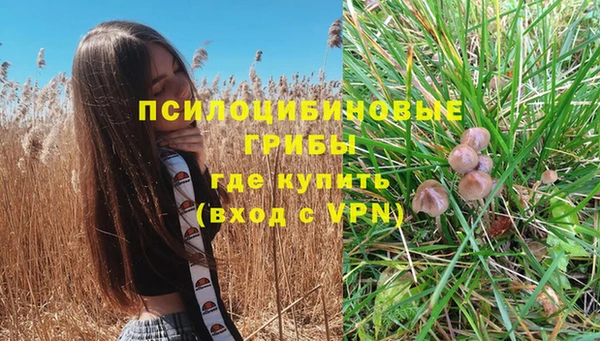 a pvp Осинники