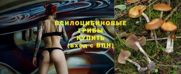 a pvp Осинники